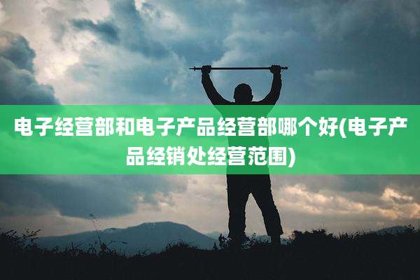 电子经营部和电子产品经营部哪个好(电子产品经销处经营范围)
