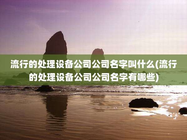 流行的处理设备公司公司名字叫什么(流行的处理设备公司公司名字有哪些)