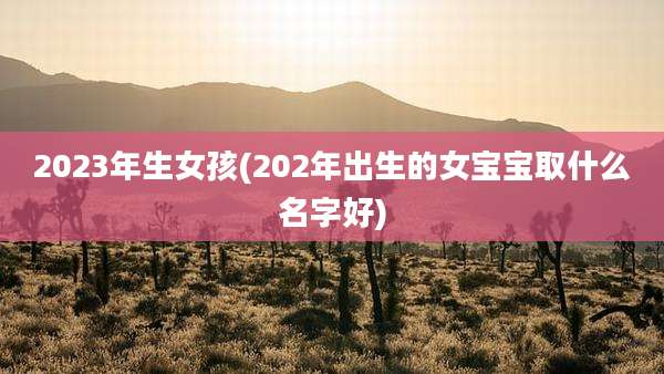 2023年生女孩(202年出生的女宝宝取什么名字好)