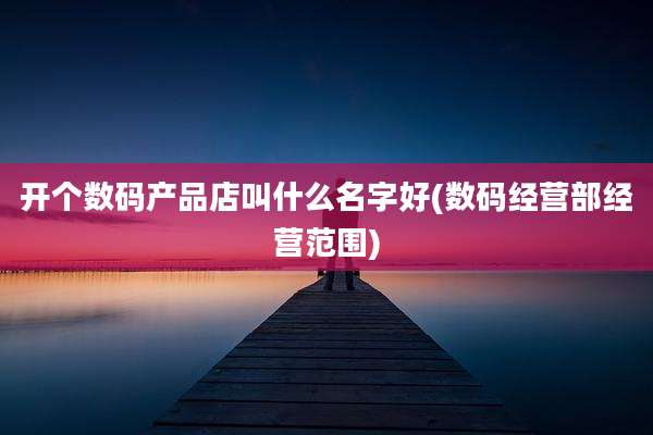 开个数码产品店叫什么名字好(数码经营部经营范围)