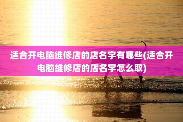 适合开电脑维修店的店名字有哪些(适合开电脑维修店的店名字怎么取)
