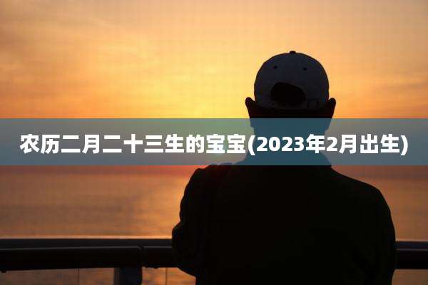 农历二月二十三生的宝宝(2023年2月出生)
