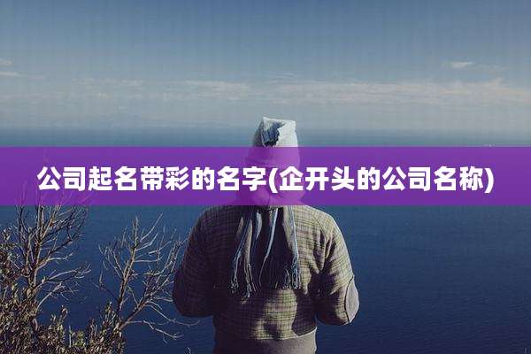 公司起名带彩的名字(企开头的公司名称)