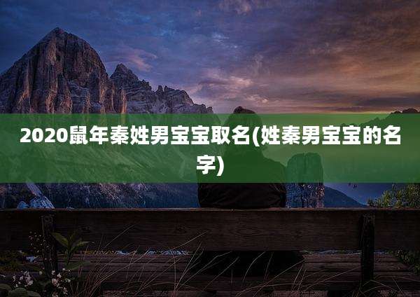2020鼠年秦姓男宝宝取名(姓秦男宝宝的名字)