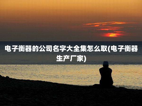 电子衡器的公司名字大全集怎么取(电子衡器生产厂家)