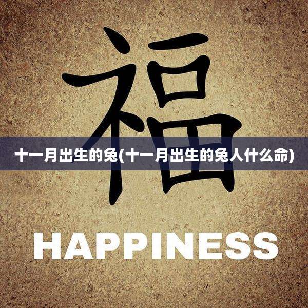 十一月出生的兔(十一月出生的兔人什么命)