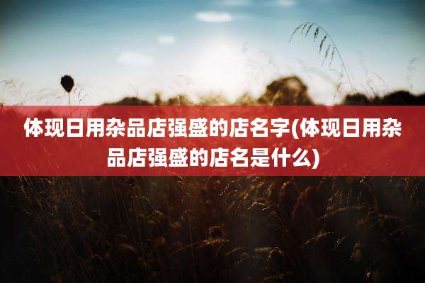 体现日用杂品店强盛的店名字(体现日用杂品店强盛的店名是什么)