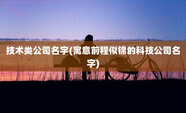 技术类公司名字(寓意前程似锦的科技公司名字)