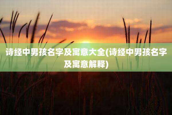 诗经中男孩名字及寓意大全(诗经中男孩名字及寓意解释)