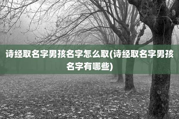 诗经取名字男孩名字怎么取(诗经取名字男孩名字有哪些)