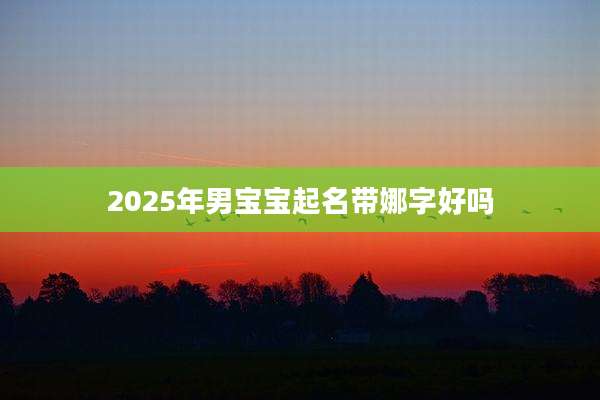 2025年男宝宝起名带娜字好吗