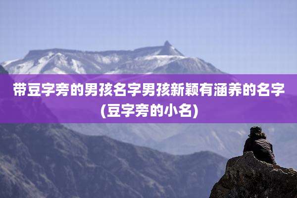 带豆字旁的男孩名字男孩新颖有涵养的名字(豆字旁的小名)