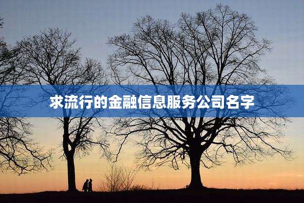 求流行的金融信息服务公司名字