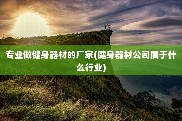 专业做健身器材的厂家(健身器材公司属于什么行业)