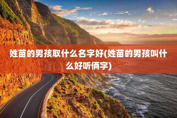 姓苗的男孩取什么名字好(姓苗的男孩叫什么好听俩字)