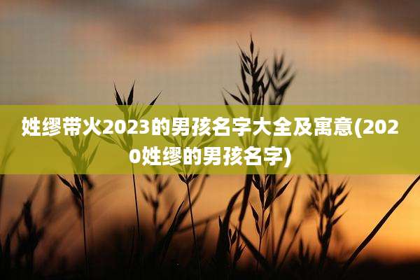 姓缪带火2023的男孩名字大全及寓意(2020姓缪的男孩名字)