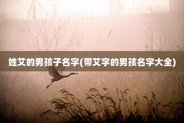 姓艾的男孩子名字(带艾字的男孩名字大全)