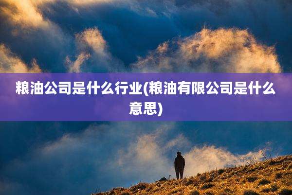 粮油公司是什么行业(粮油有限公司是什么意思)