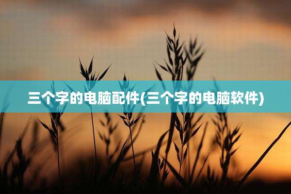 三个字的电脑配件(三个字的电脑软件)