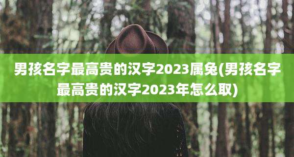 男孩名字最高贵的汉字2023属兔(男孩名字最高贵的汉字2023年怎么取)
