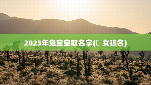 2023年兔宝宝取名字(璟 女孩名)