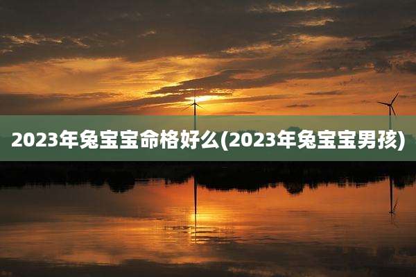 2023年兔宝宝命格好么(2023年兔宝宝男孩)