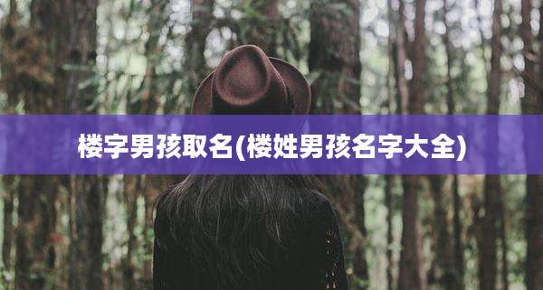 楼字男孩取名(楼姓男孩名字大全)