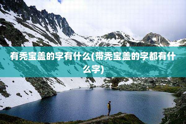 有秃宝盖的字有什么(带秃宝盖的字都有什么字)