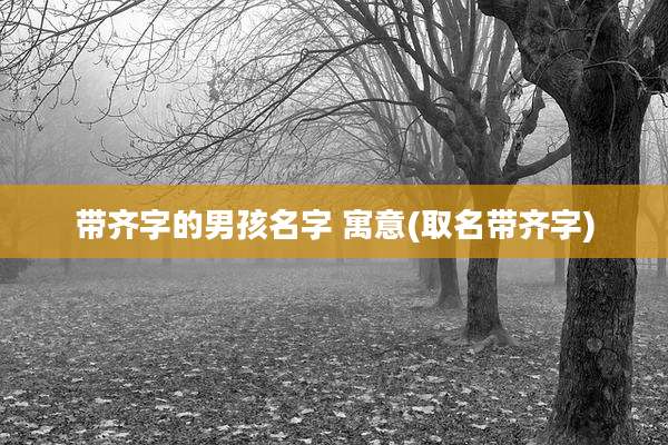 带齐字的男孩名字 寓意(取名带齐字)