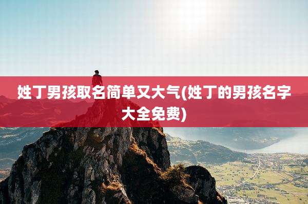 姓丁男孩取名简单又大气(姓丁的男孩名字大全免费)