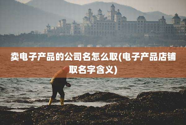 卖电子产品的公司名怎么取(电子产品店铺取名字含义)