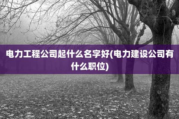 电力工程公司起什么名字好(电力建设公司有什么职位)