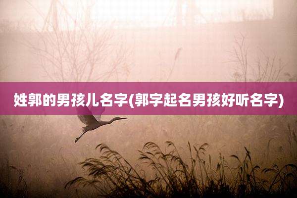 姓郭的男孩儿名字(郭字起名男孩好听名字)
