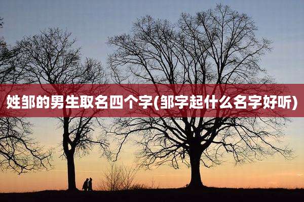 姓邹的男生取名四个字(邹字起什么名字好听)