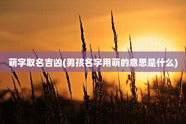 萌字取名吉凶(男孩名字用萌的意思是什么)