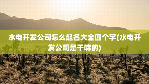 水电开发公司怎么起名大全四个字(水电开发公司是干嘛的)