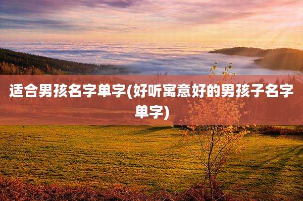 适合男孩名字单字(好听寓意好的男孩子名字单字)