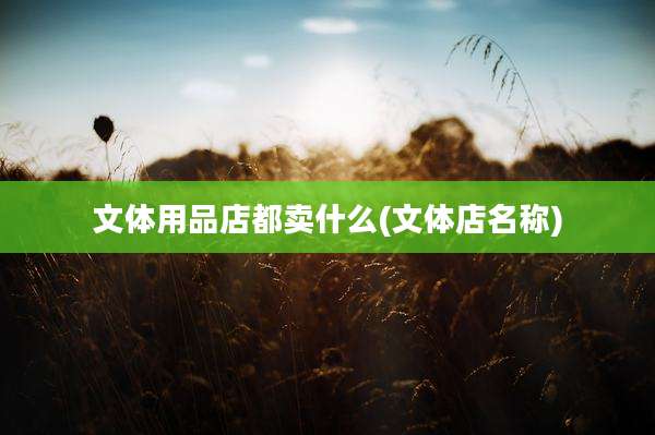 文体用品店都卖什么(文体店名称)