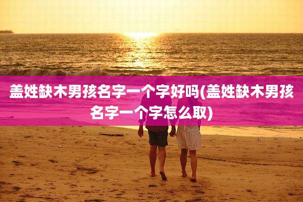 盖姓缺木男孩名字一个字好吗(盖姓缺木男孩名字一个字怎么取)
