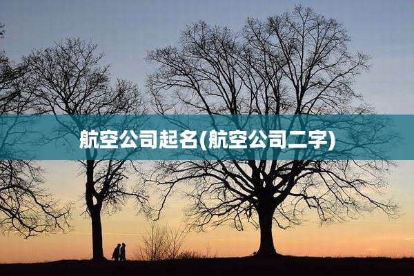 航空公司起名(航空公司二字)