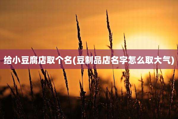给小豆腐店取个名(豆制品店名字怎么取大气)