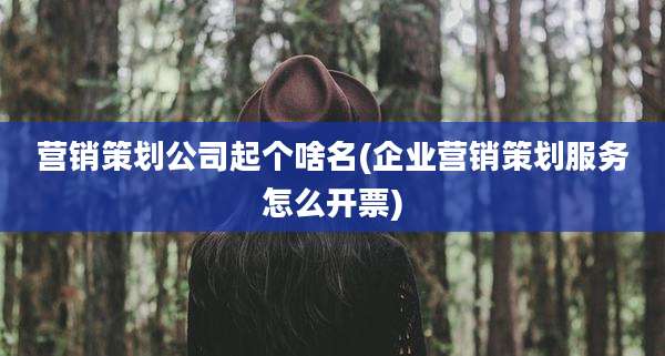 营销策划公司起个啥名(企业营销策划服务怎么开票)