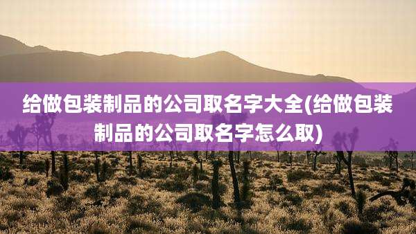 给做包装制品的公司取名字大全(给做包装制品的公司取名字怎么取)