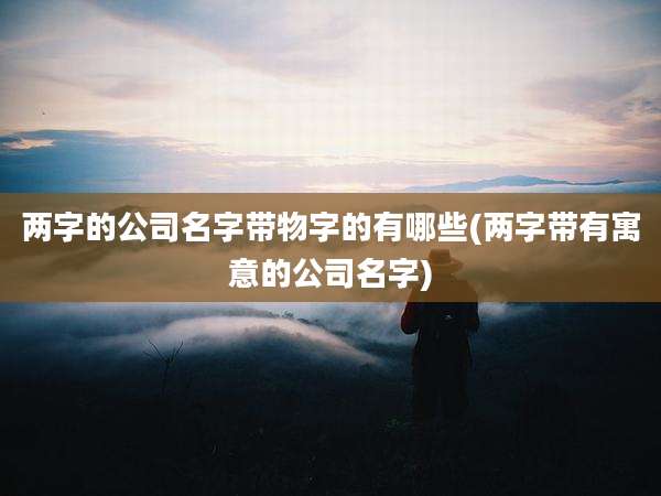 两字的公司名字带物字的有哪些(两字带有寓意的公司名字)