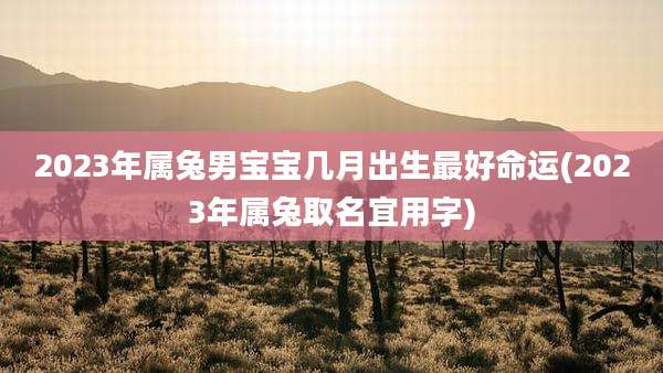 2023年属兔男宝宝几月出生最好命运(2023年属兔取名宜用字)