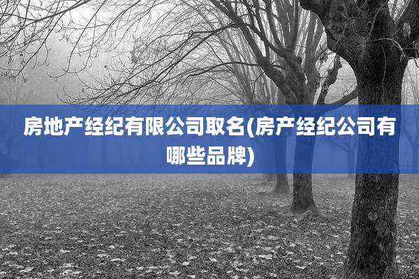 房地产经纪有限公司取名(房产经纪公司有哪些品牌)