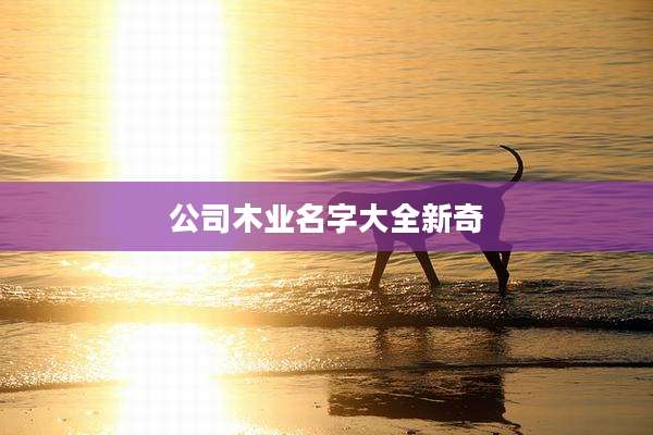 公司木业名字大全新奇