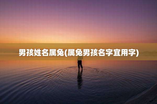 男孩姓名属兔(属兔男孩名字宜用字)