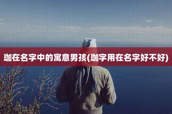 珈在名字中的寓意男孩(珈字用在名字好不好)