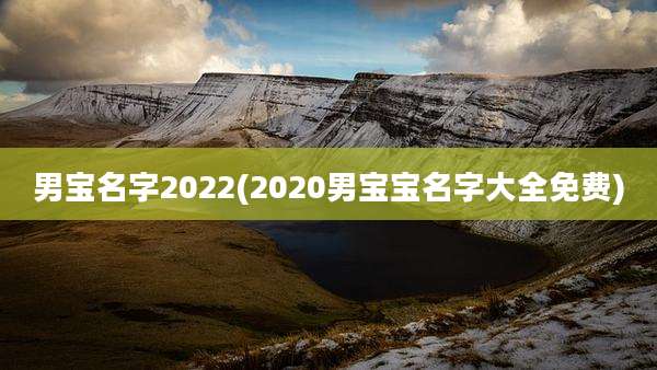 男宝名字2022(2020男宝宝名字大全免费)